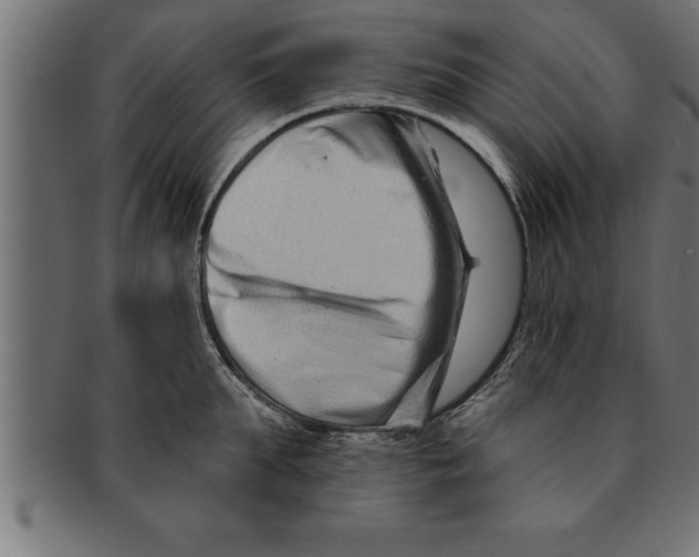 X0000091670903200709201217