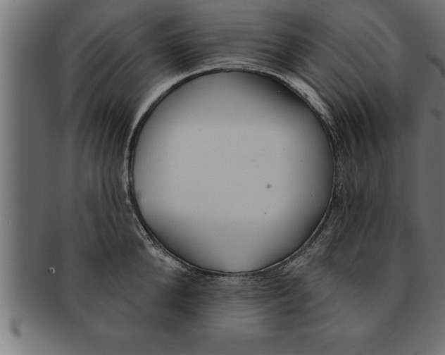 X0000091670904200709201217