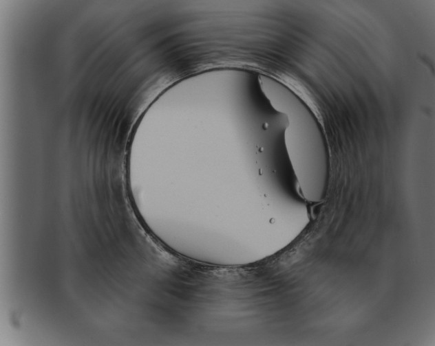 X0000091670906200709201217