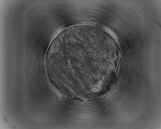 X0000091670907200709201217