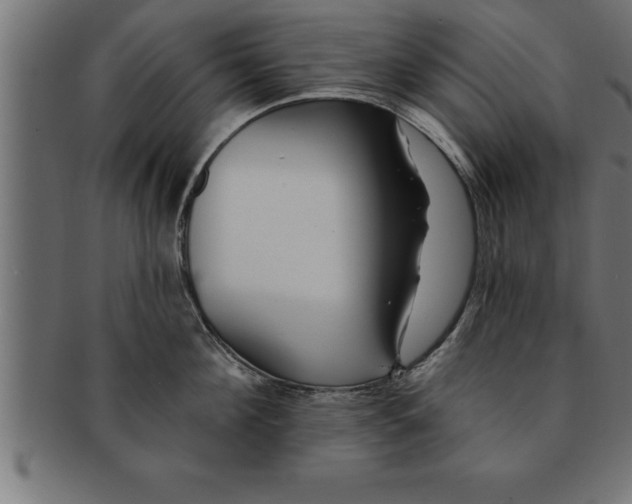 X0000091670908200709201217