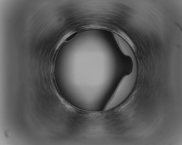 X0000091670909200709201217