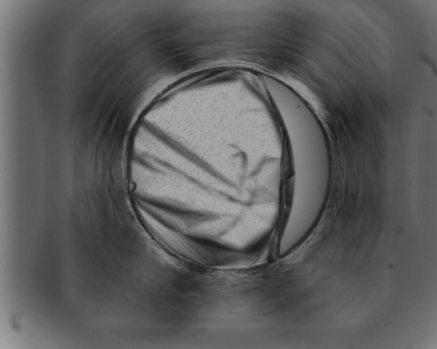 X0000091670910200709201217