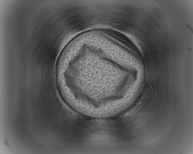 X0000091670911200709201217