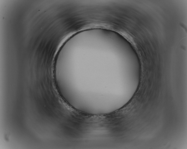 X0000091670912200709201217