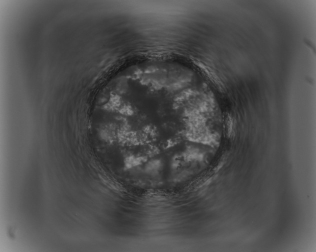 X0000091670913200709201216