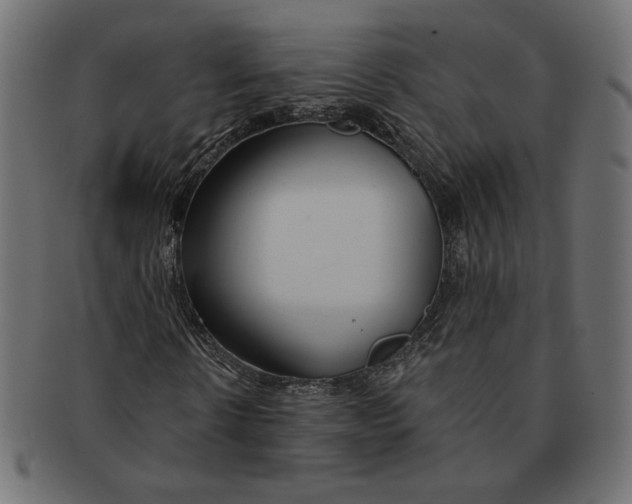 X0000091670914200709201216