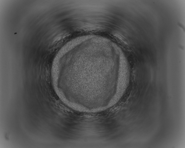 X0000091670917200709201216