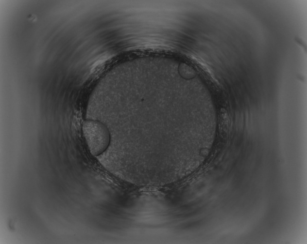 X0000091670918200709201216