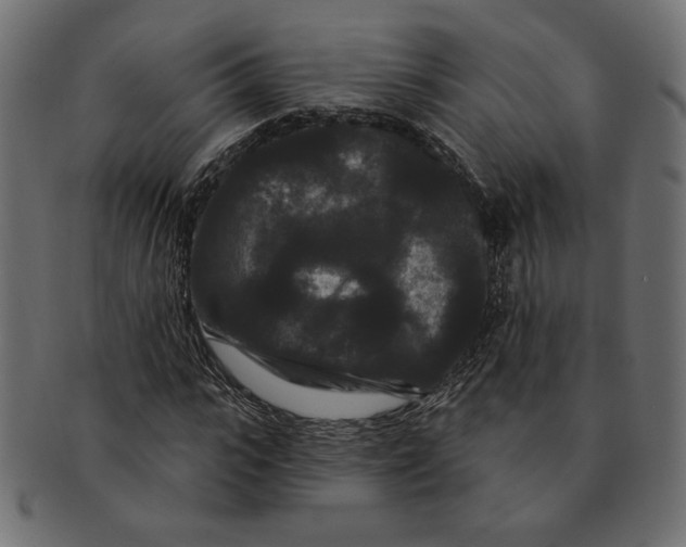 X0000091670919200709201216