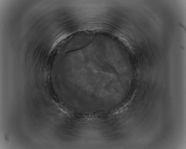 X0000091670920200709201216