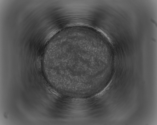 X0000091670921200709201216