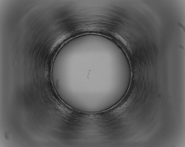 X0000091670922200709201216