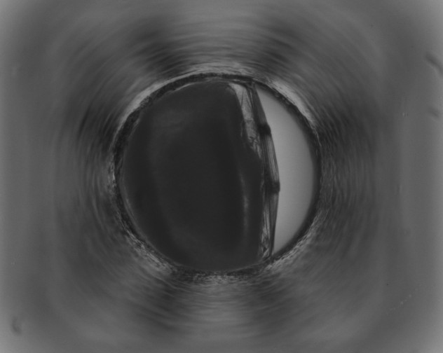 X0000091670923200709201216