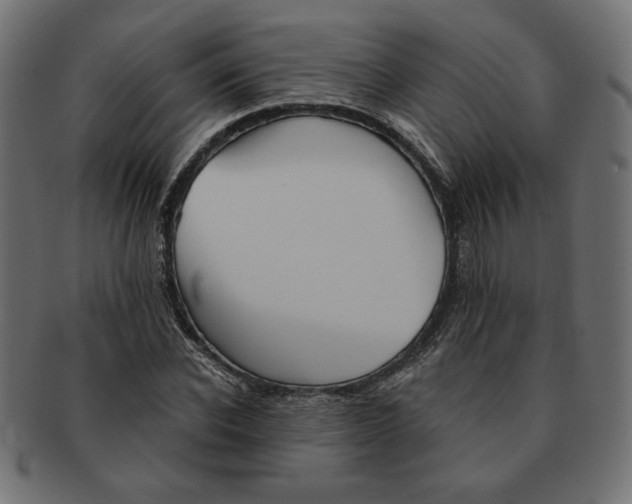 X0000091670926200709201216