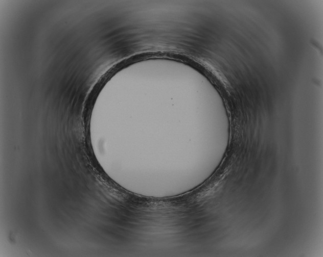 X0000091670927200709201216