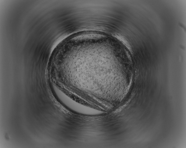 X0000091670928200709201216