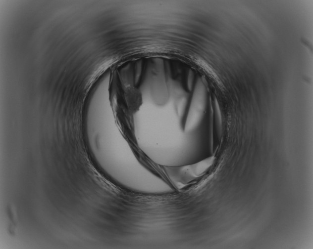 X0000091670930200709201216