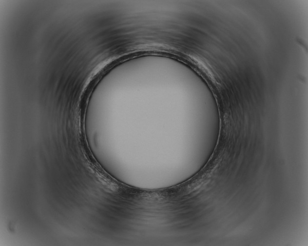 X0000091670931200709201216