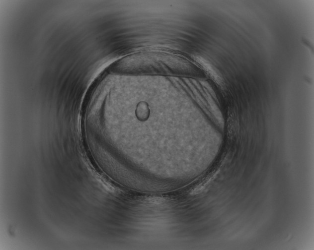 X0000091670932200709201216