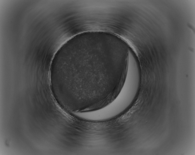 X0000091670935200709201216