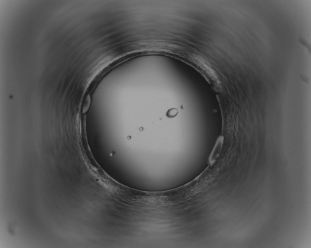 X0000091670936200709201216