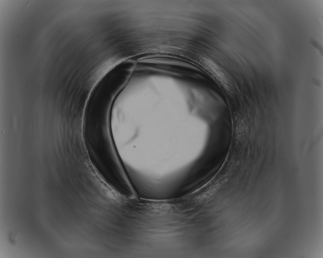 X0000091670940200709201216