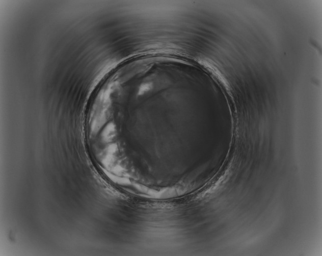 X0000091670941200709201216