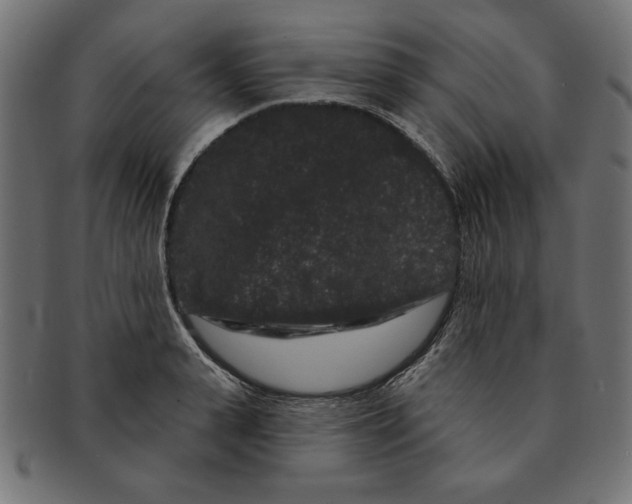 X0000091670943200709201216