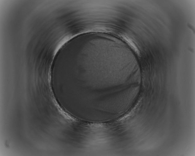 X0000091670944200709201216