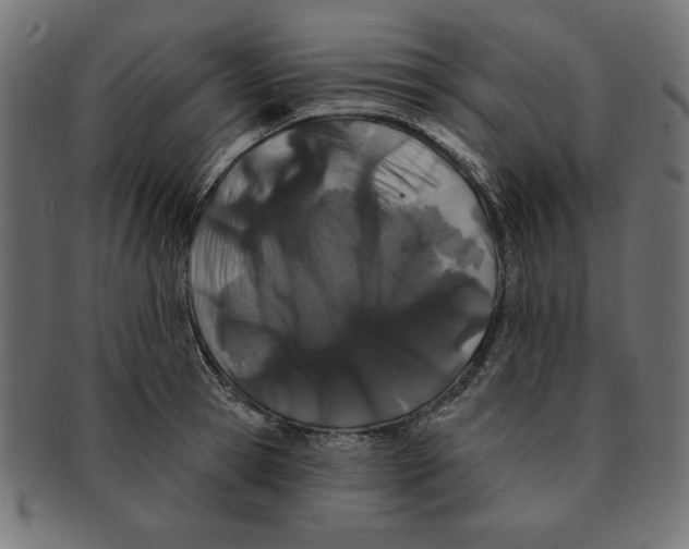 X0000091670945200709201216