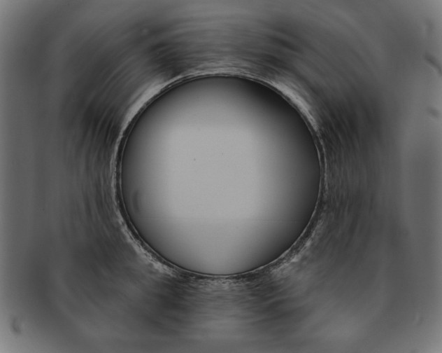 X0000091670949200709201216