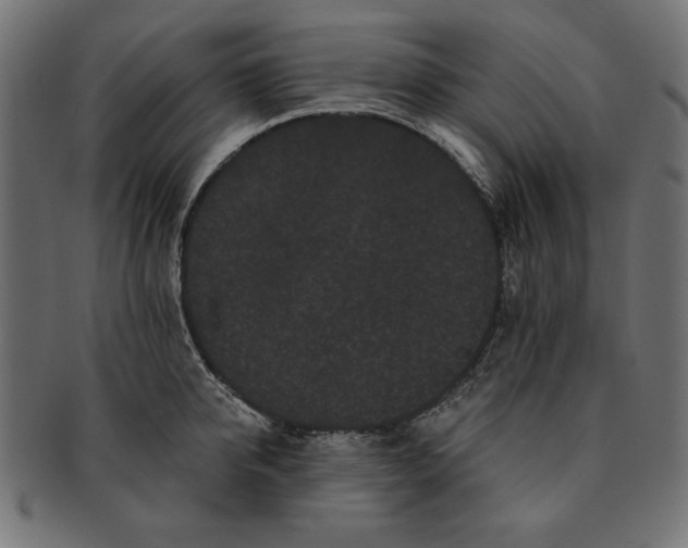 X0000091670950200709201217