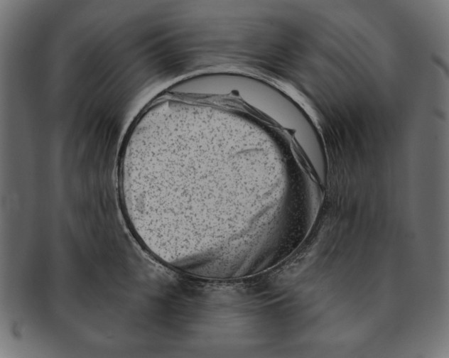 X0000091670951200709201217