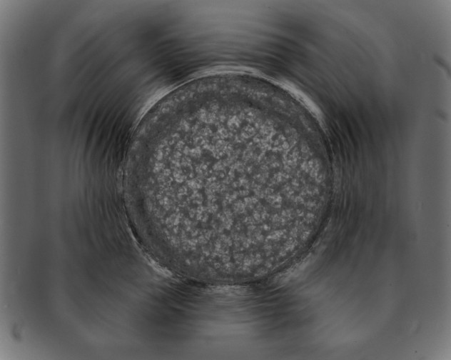 X0000091670953200709201217