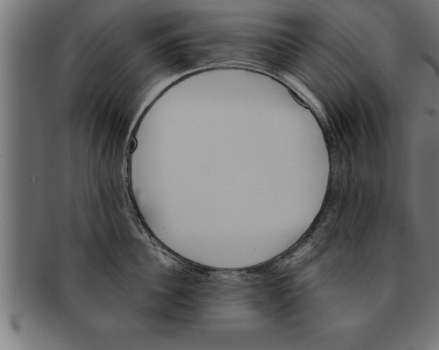 X0000091670956200709201217