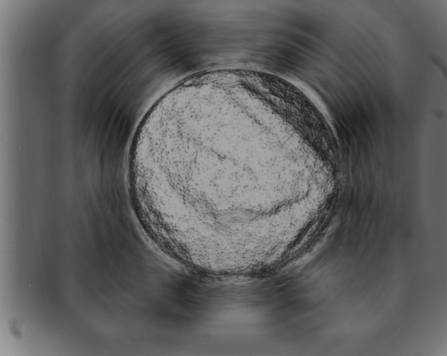 X0000091670957200709201217