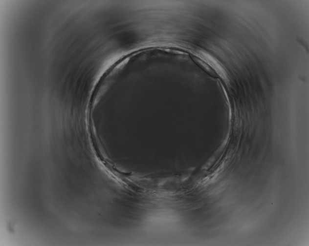 X0000091670958200709201217