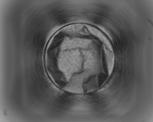 X0000091670959200709201217