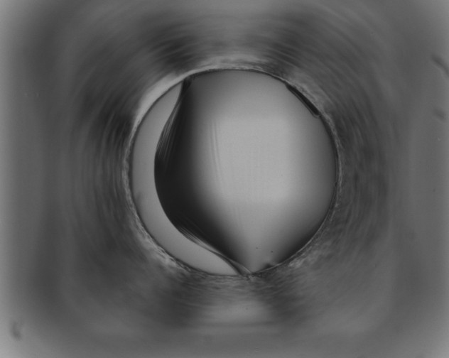 X0000091670960200709201217