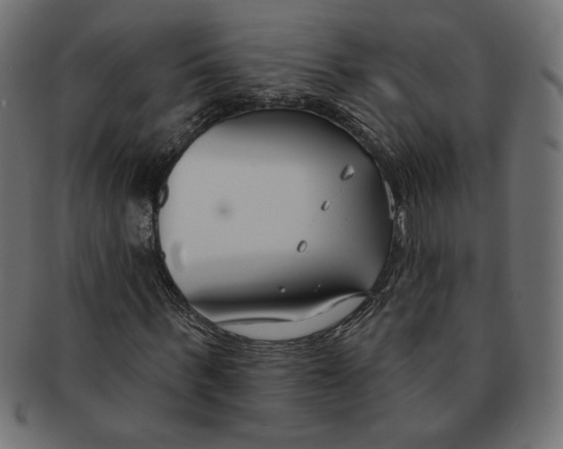 X0000091670963200709201216