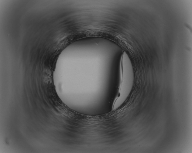 X0000091670964200709201216