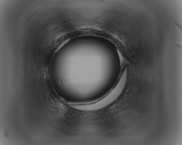 X0000091670965200709201216