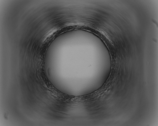 X0000091670967200709201216