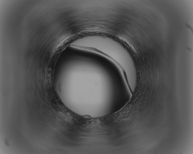 X0000091670968200709201216