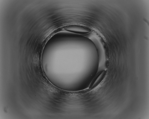 X0000091670969200709201216