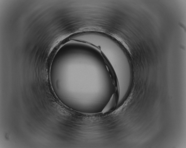 X0000091670973200709201216