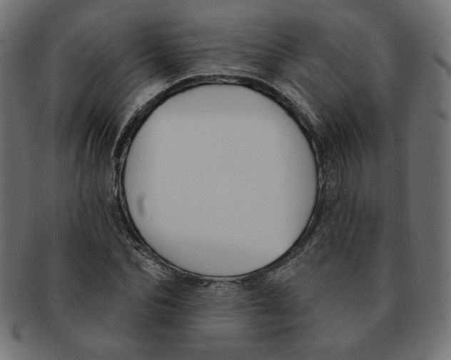 X0000091670974200709201216