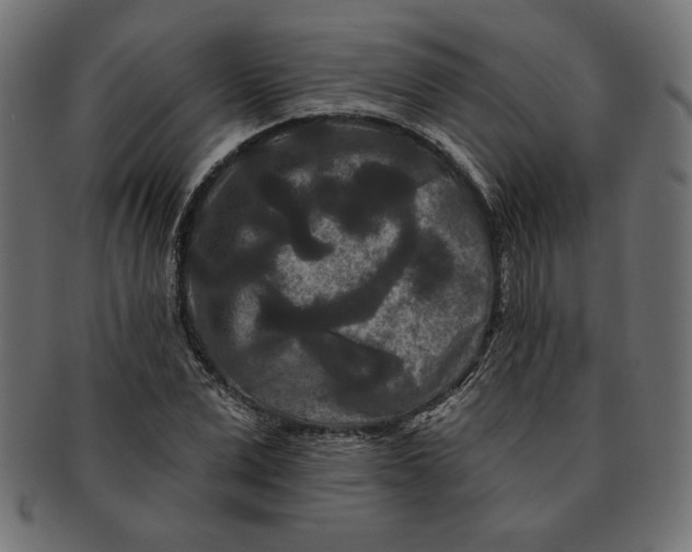 X0000091670975200709201216