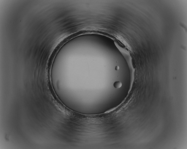 X0000091670976200709201216